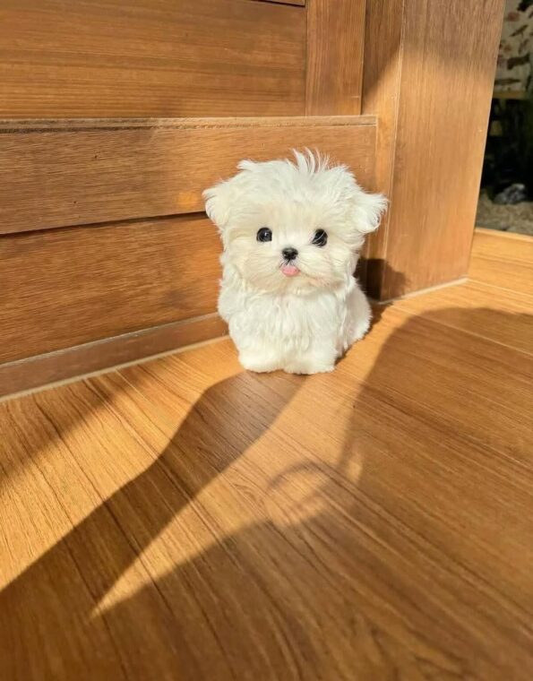 photo_2026-03-21_15-53-00