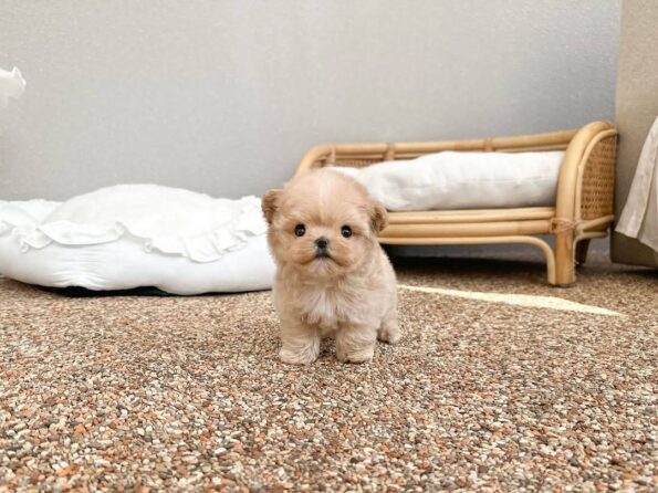 photo_2026-04-03_10-41-20