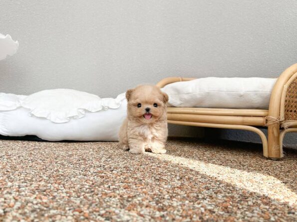 photo_2026-04-03_10-41-21