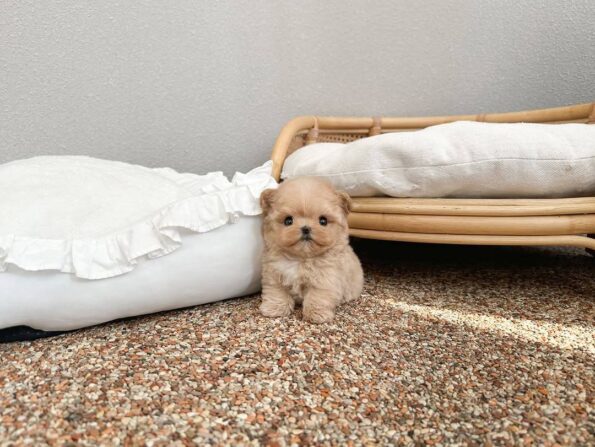 photo_2026-04-03_10-41-24