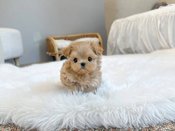 photo_2026-04-03_22-29-25