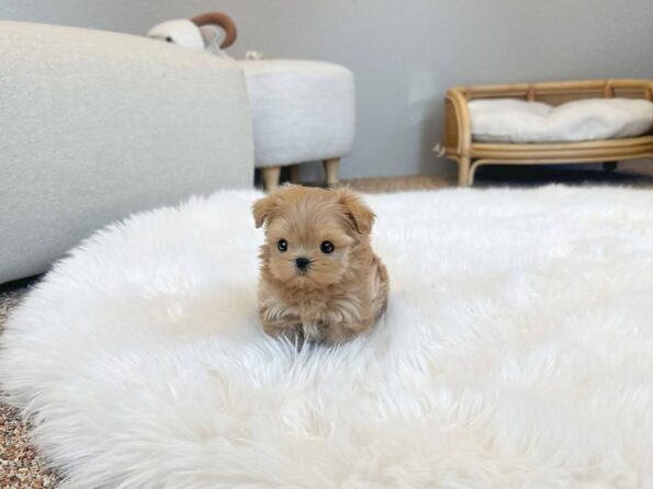 photo_2026-04-03_22-29-26