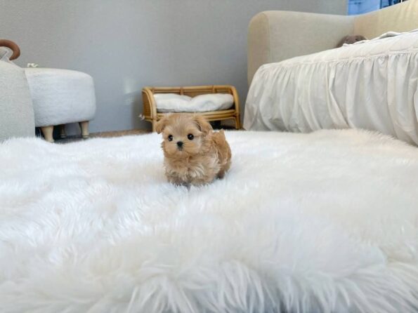 photo_2026-04-03_22-29-26 (2)