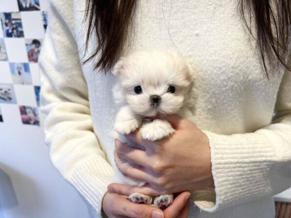 photo_2026-04-03_22-31-33