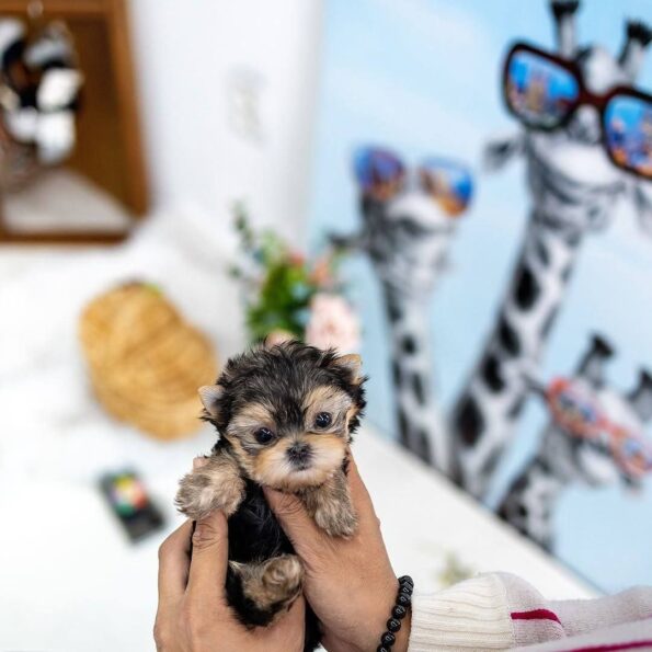 photo_2026-04-03_22-32-23