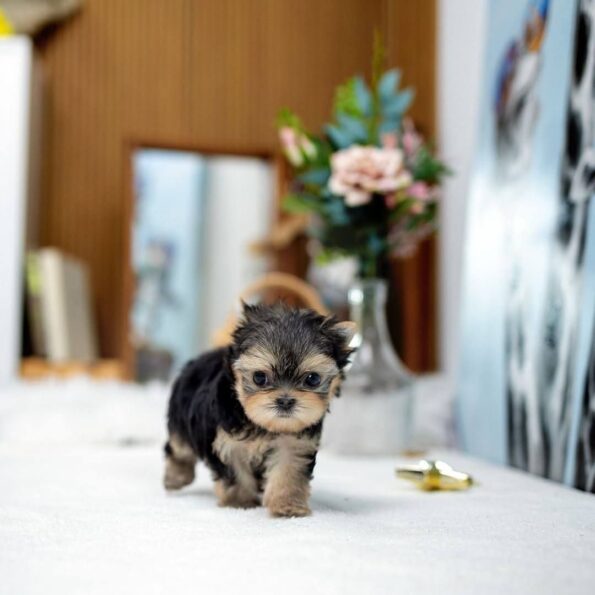 photo_2026-04-03_22-32-24