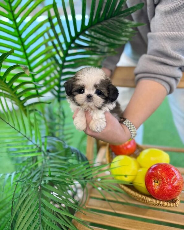 photo_2026-04-04_12-10-52