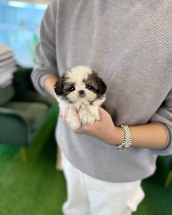 photo_2026-04-04_12-10-54